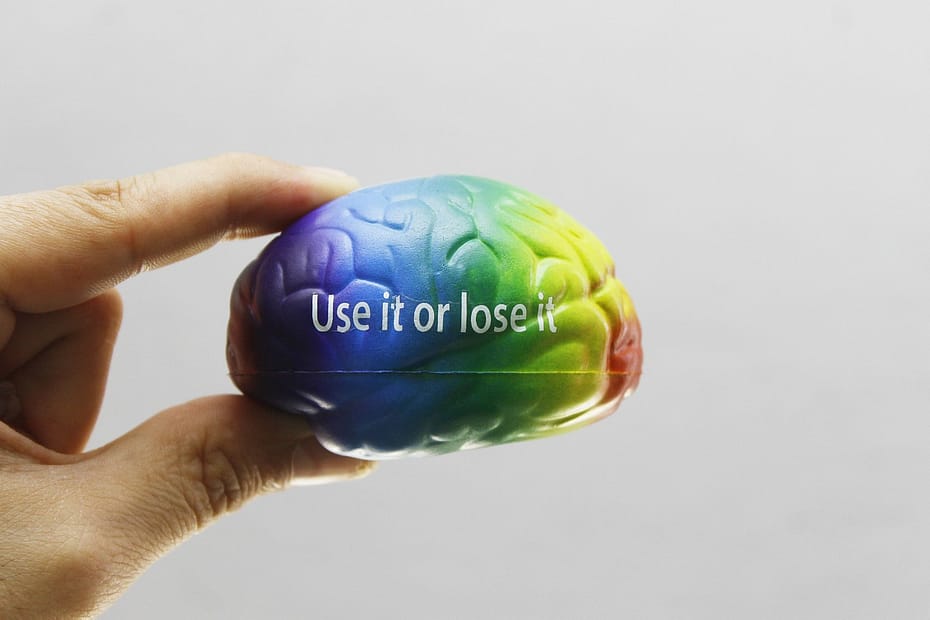 a small rainbow-coloured model of a human brain held gently in a pincer grip by a human hand